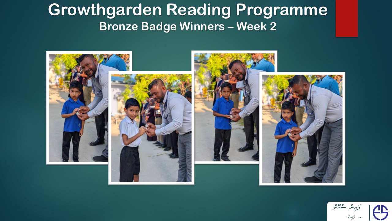 Bronze Badge Winners – GrowthGarden (Week 2)